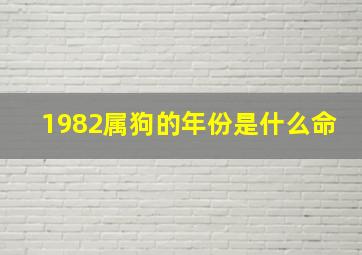 1982属狗的年份是什么命