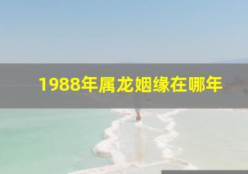 1988年属龙姻缘在哪年