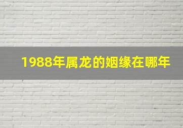 1988年属龙的姻缘在哪年