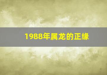 1988年属龙的正缘