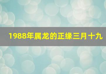 1988年属龙的正缘三月十九