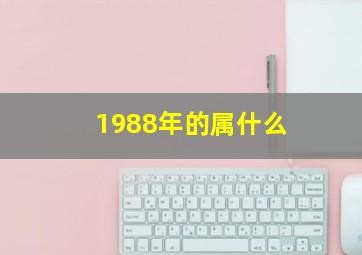 1988年的属什么