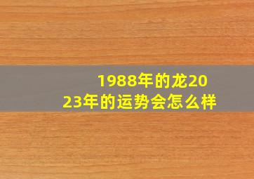 1988年的龙2023年的运势会怎么样