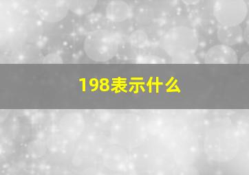 198表示什么