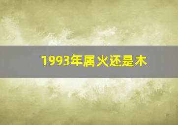 1993年属火还是木