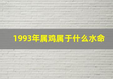 1993年属鸡属于什么水命