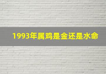 1993年属鸡是金还是水命