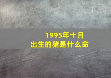 1995年十月出生的猪是什么命