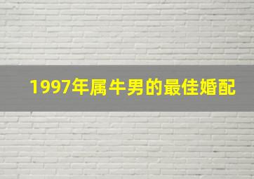 1997年属牛男的最佳婚配