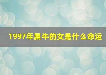 1997年属牛的女是什么命运