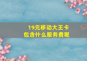 19元移动大王卡包含什么服务费呢