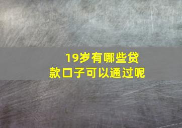 19岁有哪些贷款口子可以通过呢