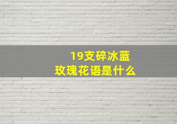 19支碎冰蓝玫瑰花语是什么