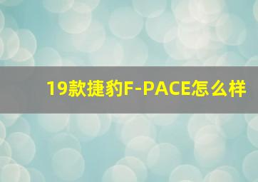 19款捷豹F-PACE怎么样