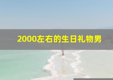 2000左右的生日礼物男