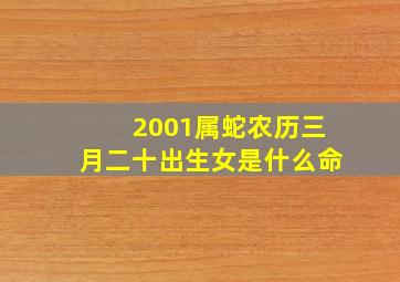 2001属蛇农历三月二十出生女是什么命