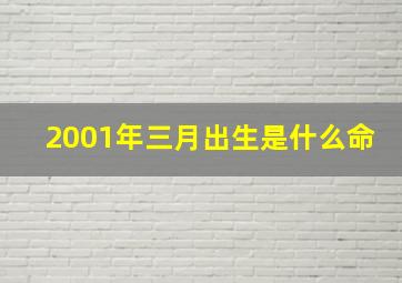 2001年三月出生是什么命