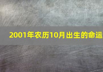 2001年农历10月出生的命运