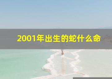 2001年出生的蛇什么命