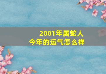 2001年属蛇人今年的运气怎么样