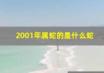 2001年属蛇的是什么蛇