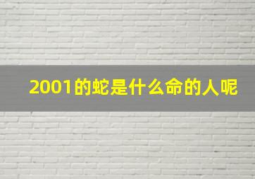 2001的蛇是什么命的人呢