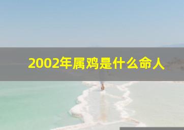 2002年属鸡是什么命人