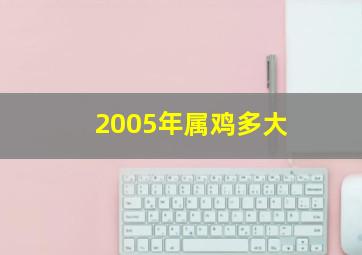 2005年属鸡多大