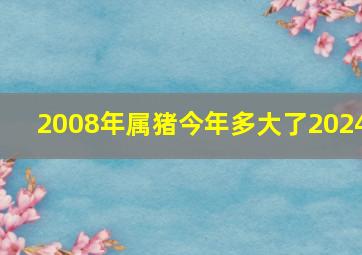 2008年属猪今年多大了2024