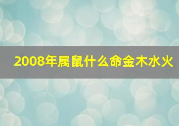 2008年属鼠什么命金木水火