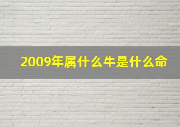 2009年属什么牛是什么命