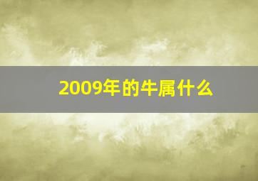 2009年的牛属什么