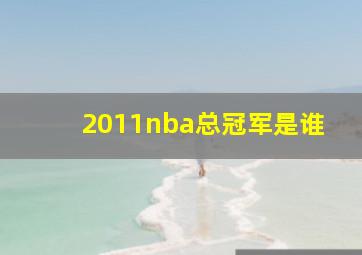 2011nba总冠军是谁