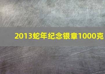 2013蛇年纪念银章1000克