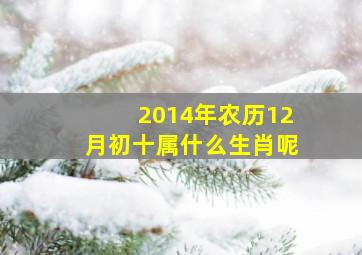 2014年农历12月初十属什么生肖呢