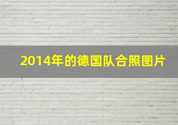 2014年的德国队合照图片