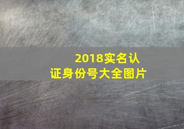 2018实名认证身份号大全图片