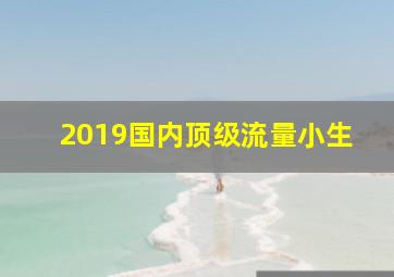 2019国内顶级流量小生