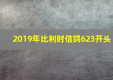 2019年比利时信鸽623开头