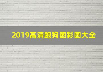 2019高清跑狗图彩图大全