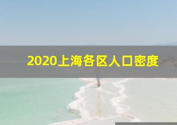 2020上海各区人口密度