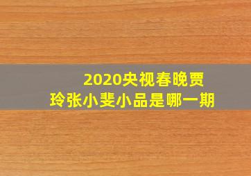 2020央视春晚贾玲张小斐小品是哪一期