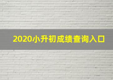 2020小升初成绩查询入口