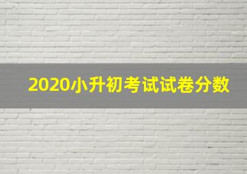 2020小升初考试试卷分数