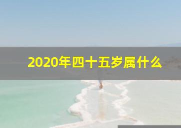 2020年四十五岁属什么