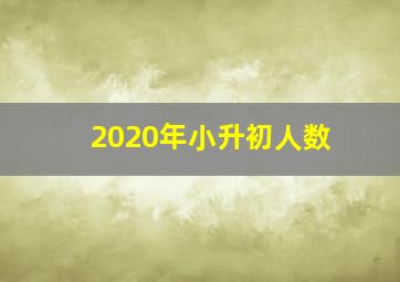 2020年小升初人数