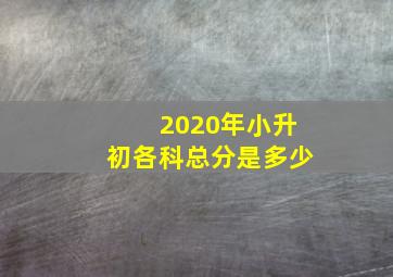 2020年小升初各科总分是多少