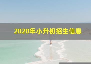 2020年小升初招生信息