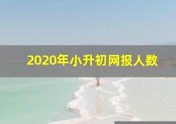 2020年小升初网报人数