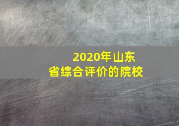 2020年山东省综合评价的院校